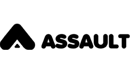 16. Assault